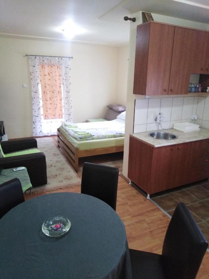 Apartman Sasa Banja Koviljača Extérieur photo