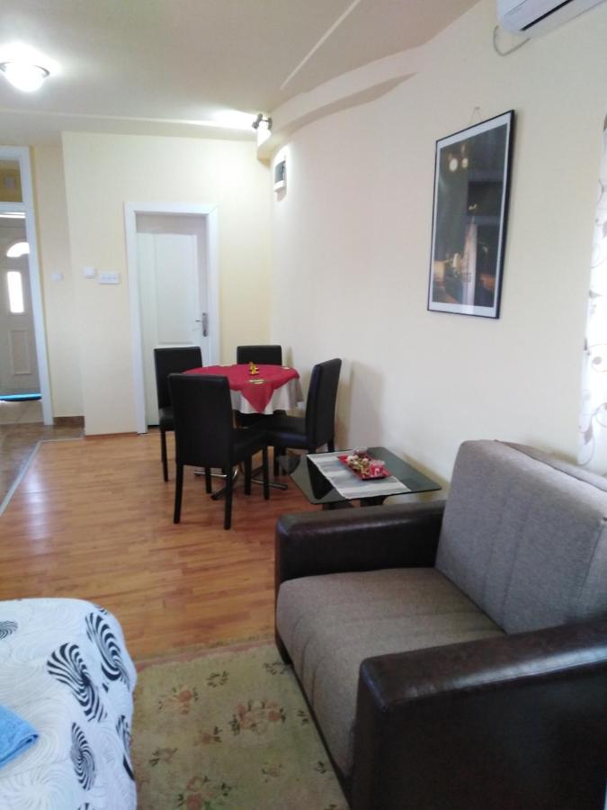 Apartman Sasa Banja Koviljača Extérieur photo