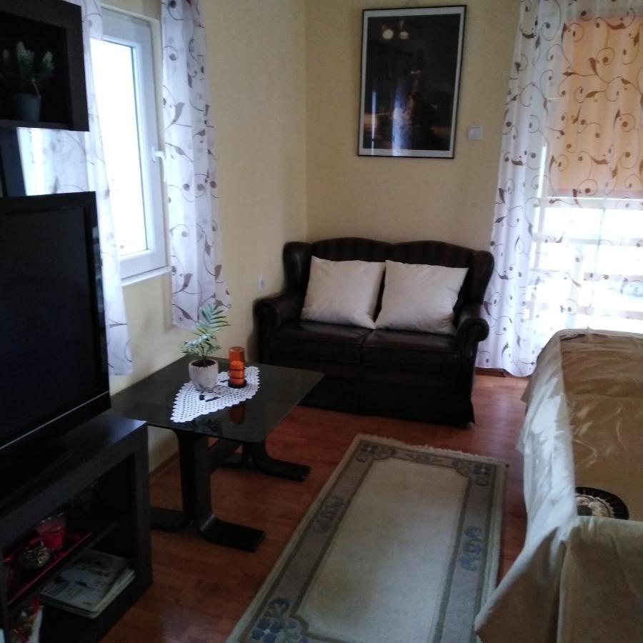 Apartman Sasa Banja Koviljača Extérieur photo